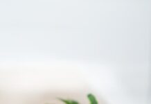 식단과 운동으로 혈당 수치를 관리하는 방법 sliced in half oval green fruit above wooden chopping board