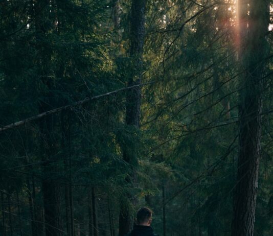 바쁜 일상 속 ‘마음챙김 걷기’, 건강 습관으로 자리잡다 man walking near trees