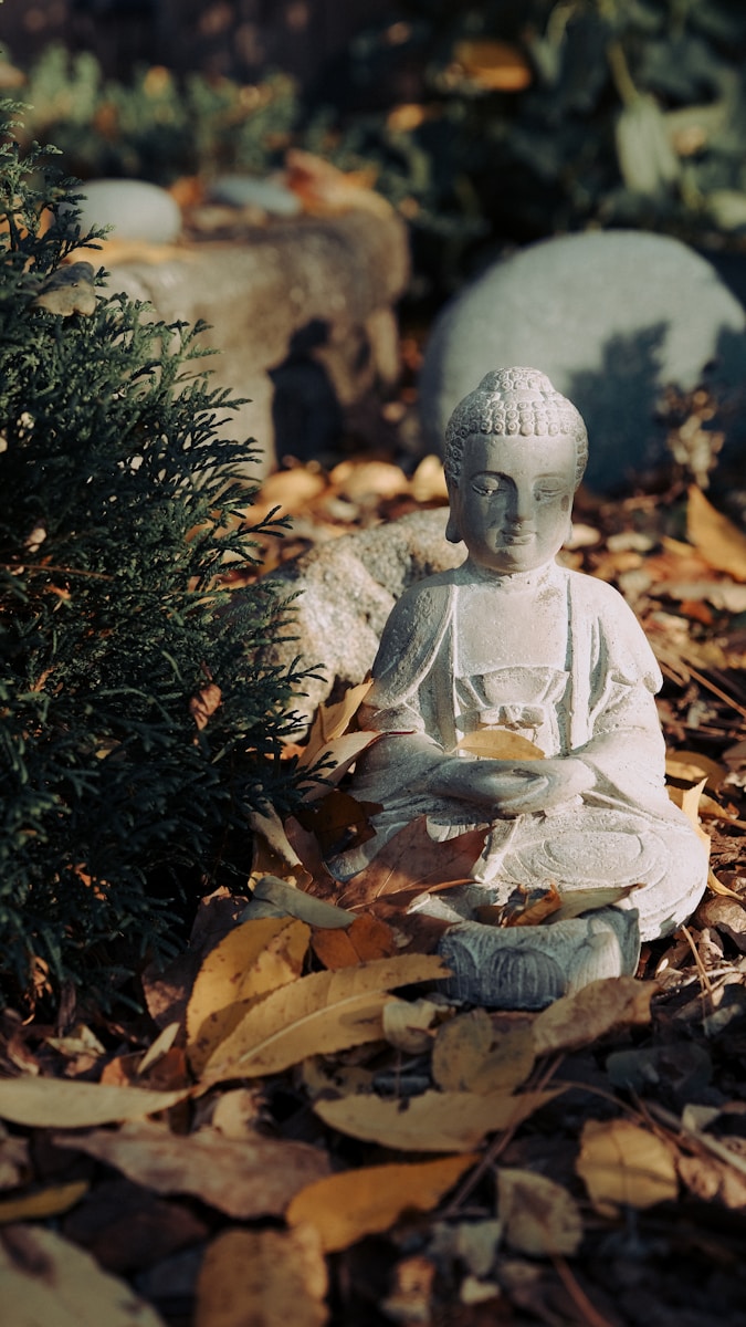 Photo by Aiden Craver white ceramic buddha figurine on brown dried leaves