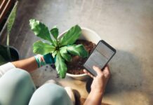 ‘뇌건강’, 생활 속 작은 습관에서 시작하세요 Person planting a houseplant and checking phone