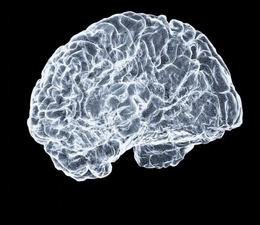“뇌도 매일 운동이 필요합니다”… 일상 속 실천하는 뇌건강 습관 a close up of a human brain on a black background