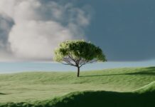 집에서도 실천하는 ‘마음 챙김’ 루틴, 일상에 활력을 더하다 A single tree on a vibrant green rolling hill.
