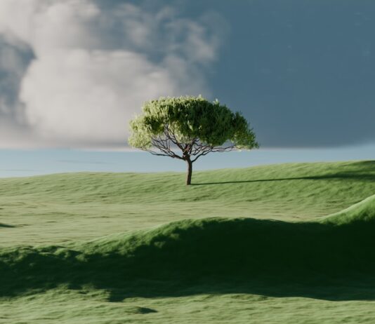 집에서도 실천하는 ‘마음 챙김’ 루틴, 일상에 활력을 더하다 A single tree on a vibrant green rolling hill.